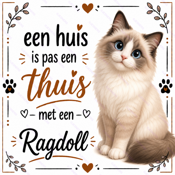 Katten tegel Ragdoll