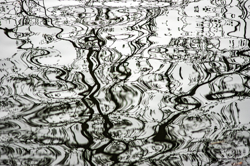 Wavey refections in water of a winter sky and bare tree limbs.