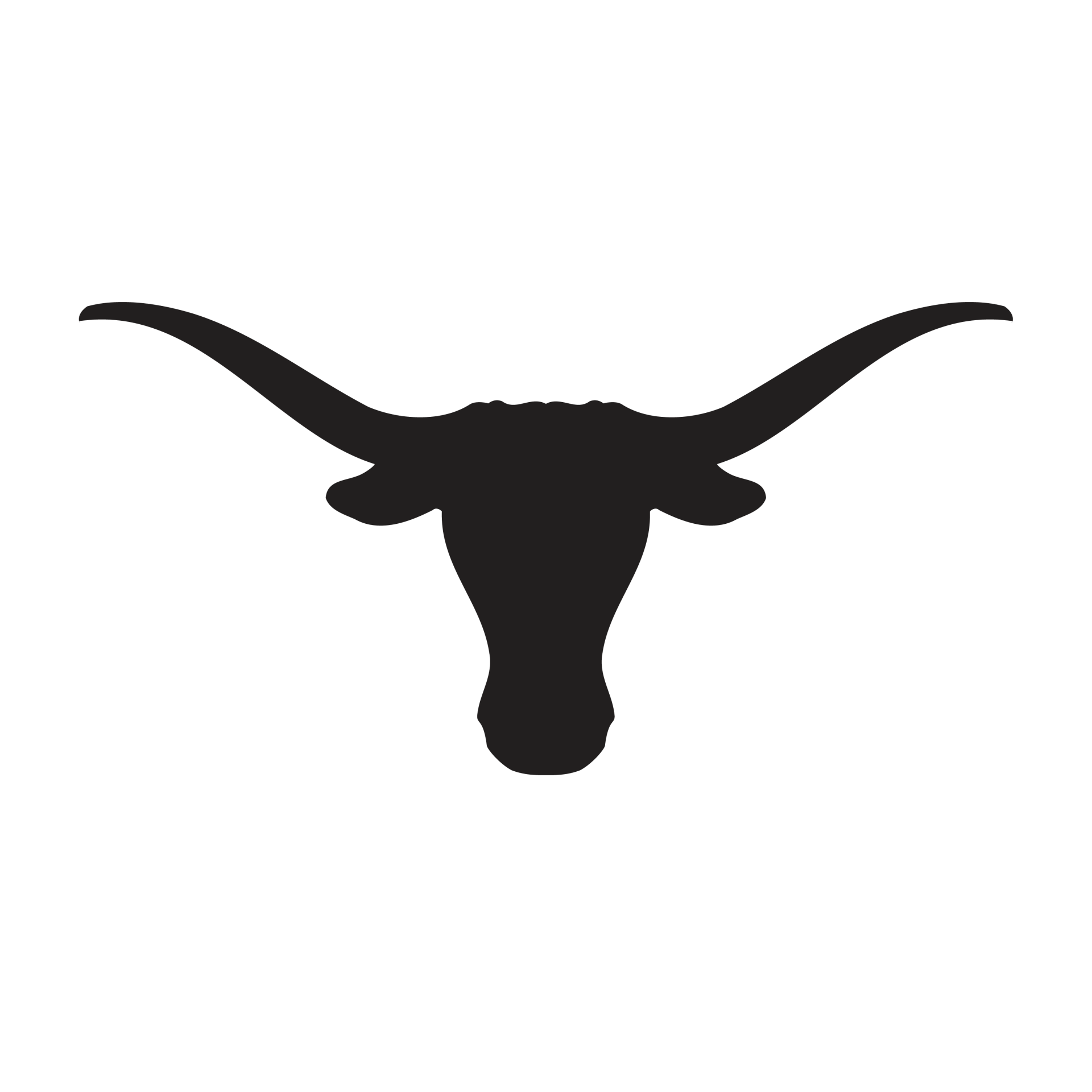 Longhorn