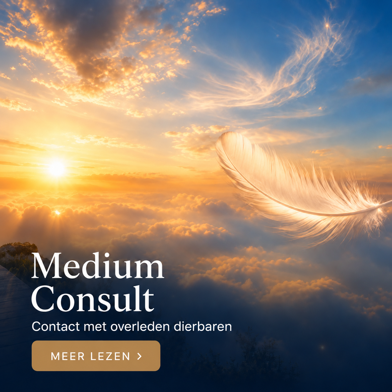medium consult