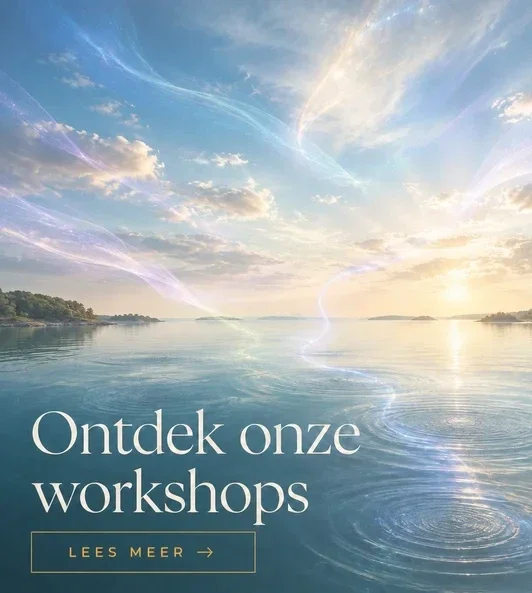 ontdek onze workshops
