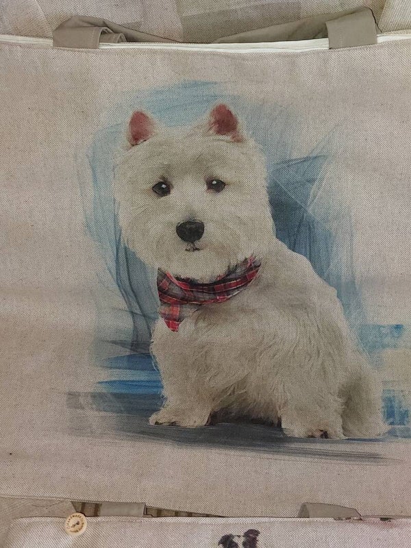 A wee  west highland terrier