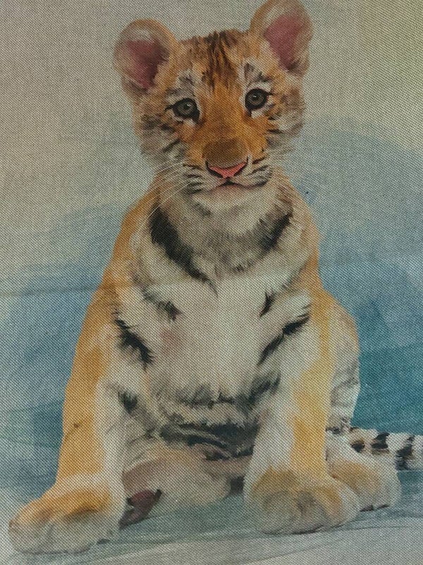The Tiger cub