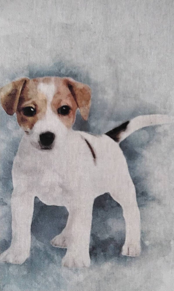 Jack Russell