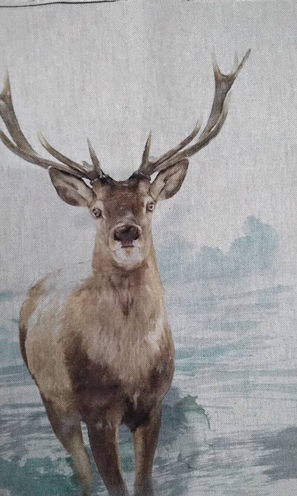 The monarch of the glen
