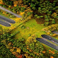 ecoduct.jpg