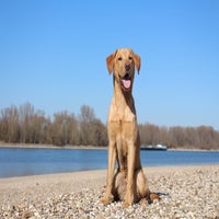 img_9491-standard.jpg