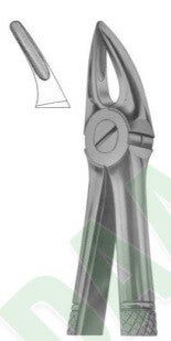 Forceps - Upper Roots - SDI 1025