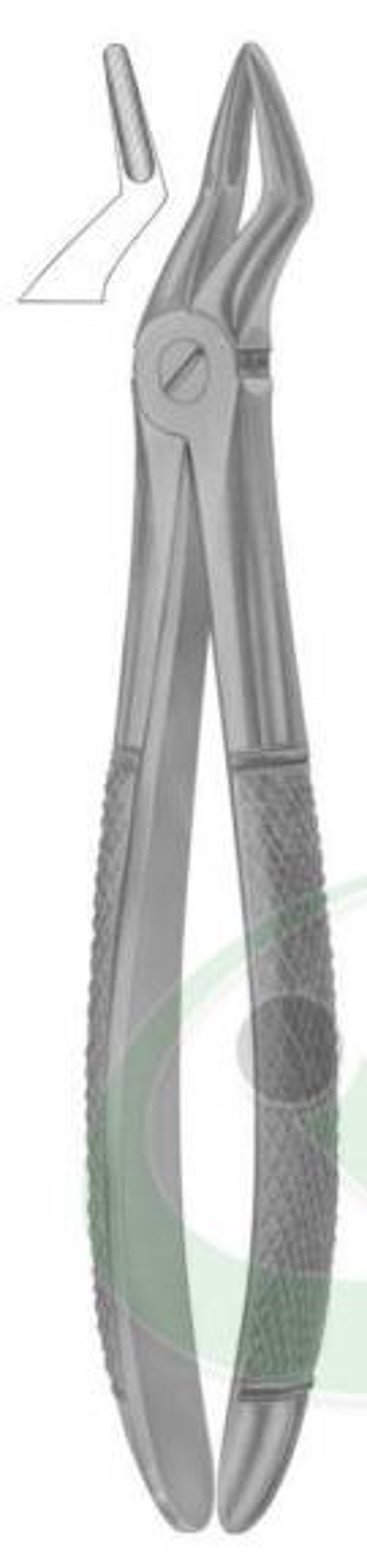 Forceps - Upper Roots - SDI 1047