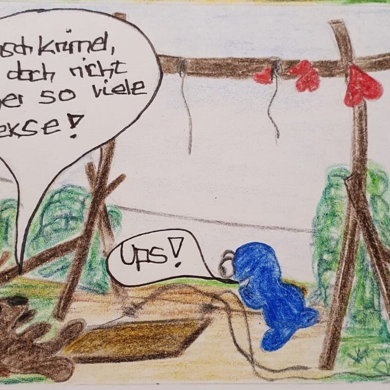 bild-5-standard.jpg