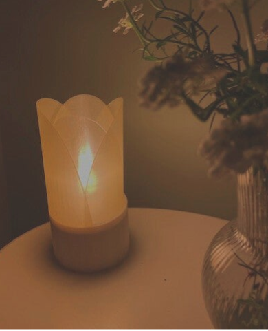 Tulp lamp