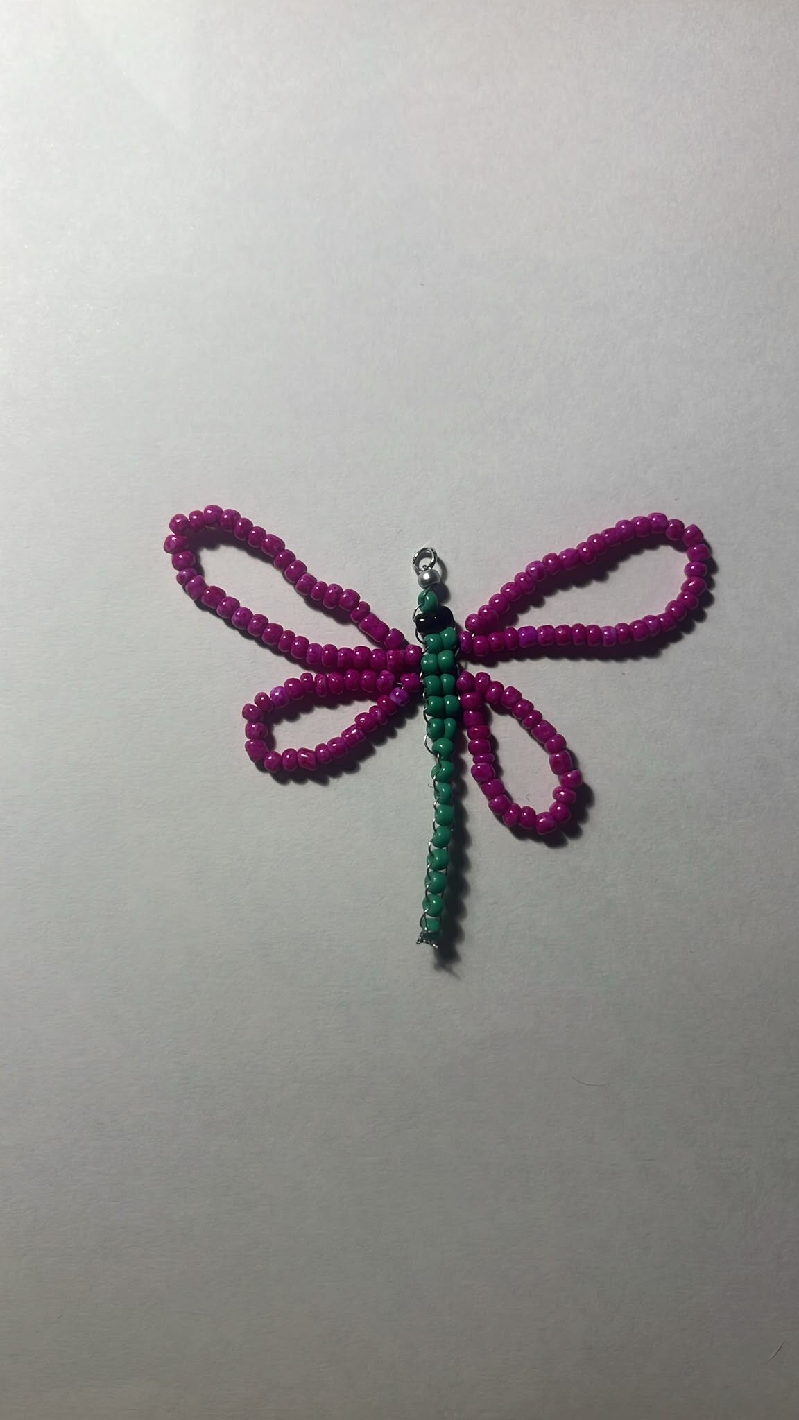 libélula