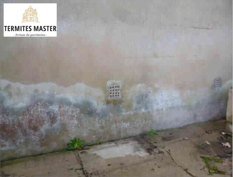 Termites master - remontées capillaires