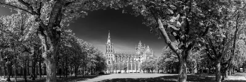 Panorama Sint-Jan Den Bosch zwart wit