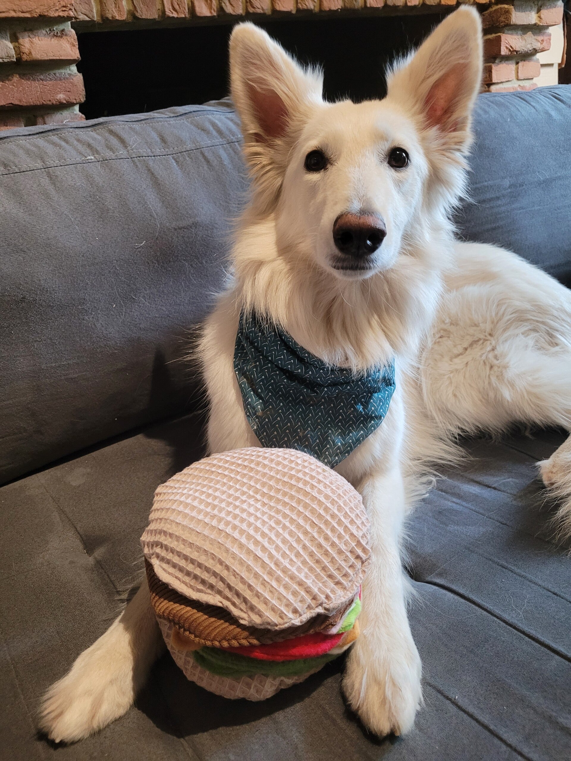 Burger de fouille