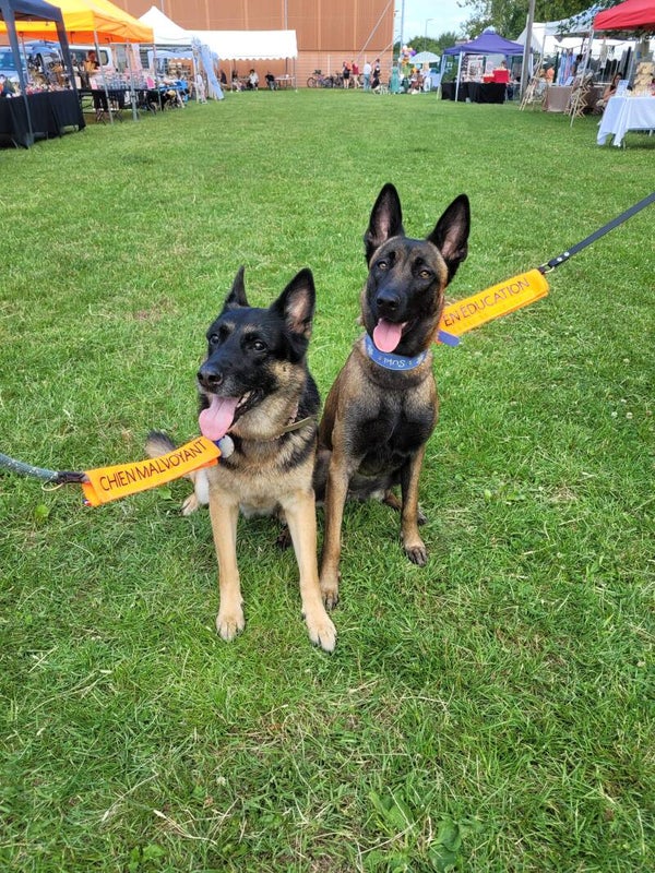 Doggycodes manchettes