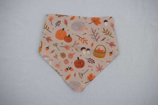 Bandanas M