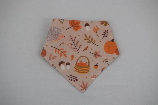 Bandanas S