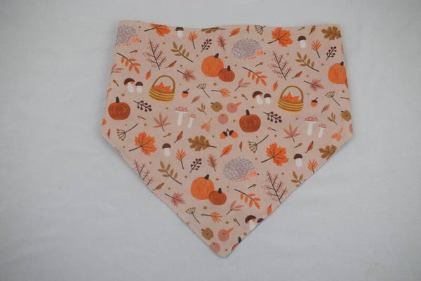 Bandanas XL