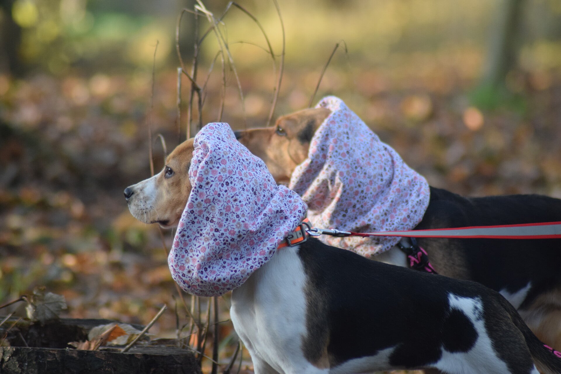 Snood doublure minky