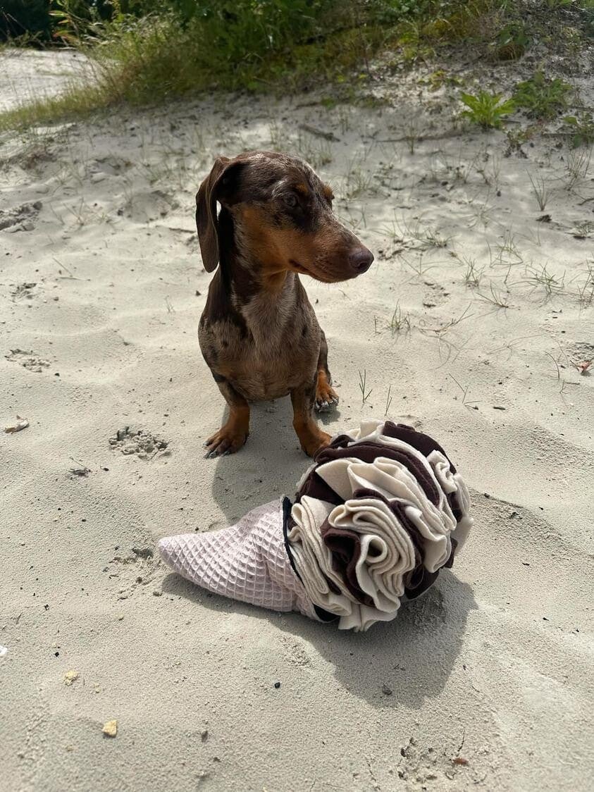 Glace de fouille