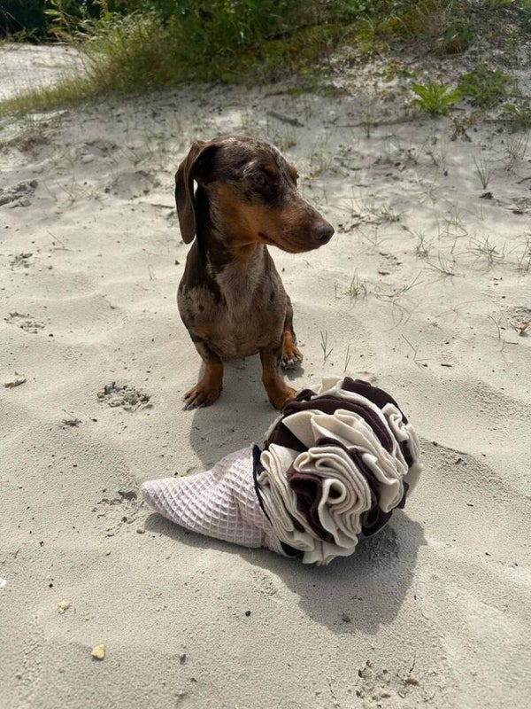 Glace de fouille