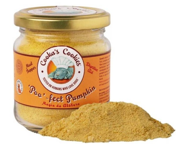 Poudre de citrouille