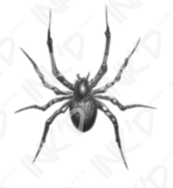 Spider 2