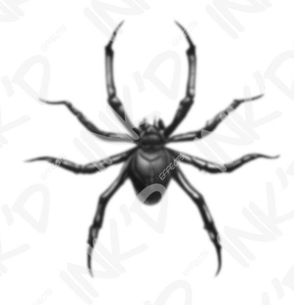 Spider 3