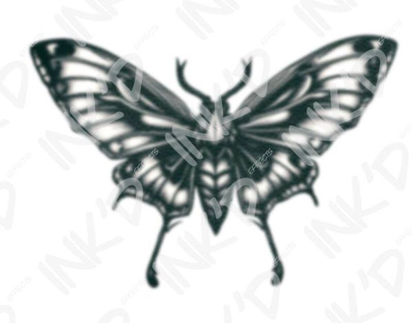 Moth 1
