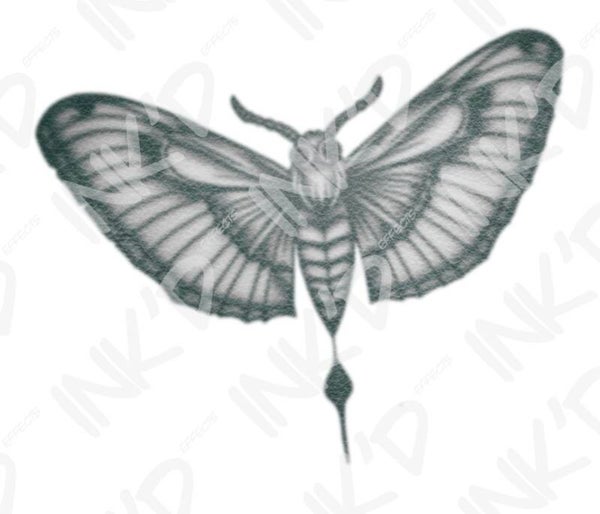 Moth 2