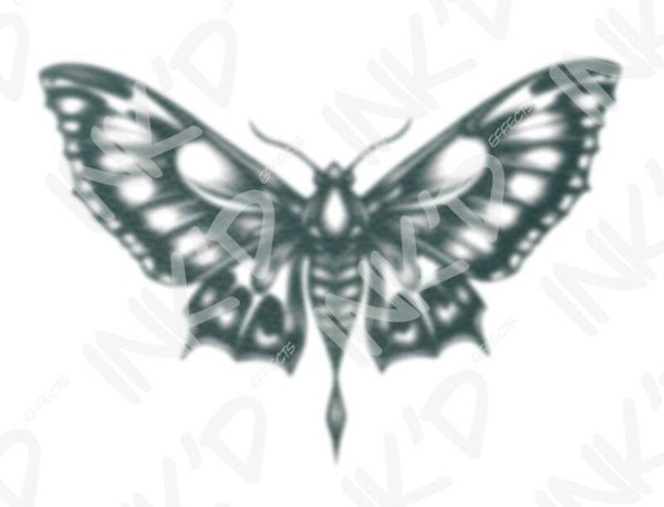 Moth 3