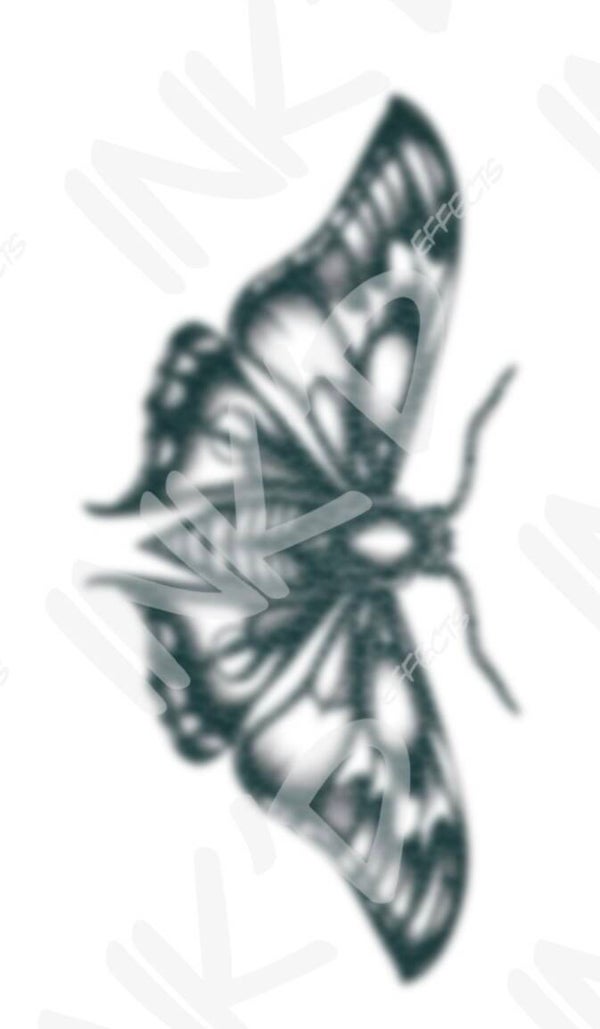 Moth 4