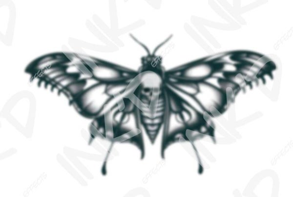 Skull Moth
