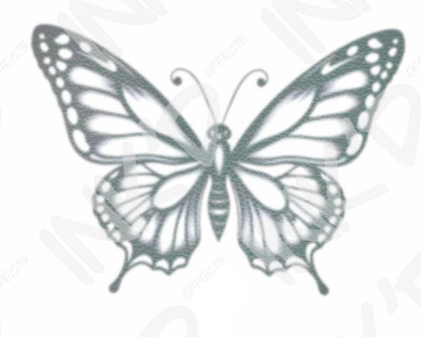 Butterfly 1