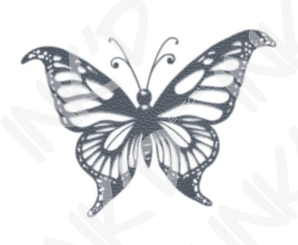 Butterfly 3