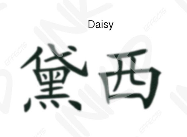 Daisy - Names in Chinese