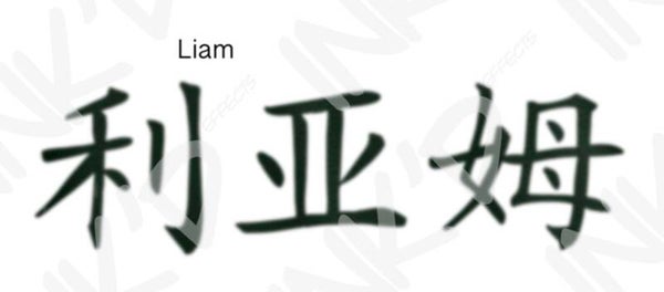 Liam - Names in Chinese
