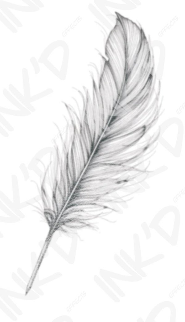 Feather 1