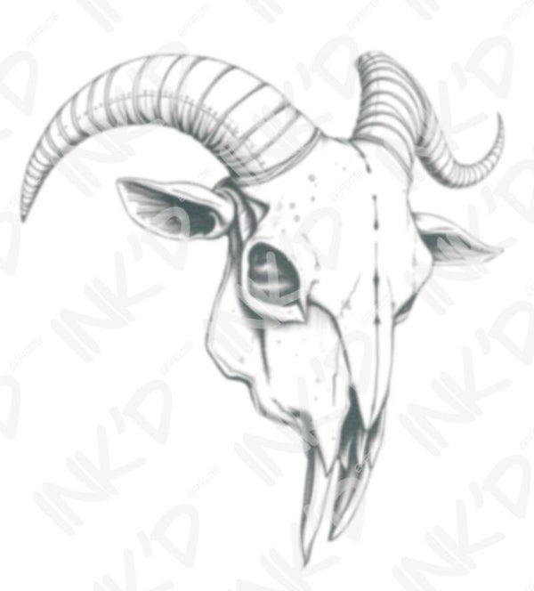 Goat Skull Large