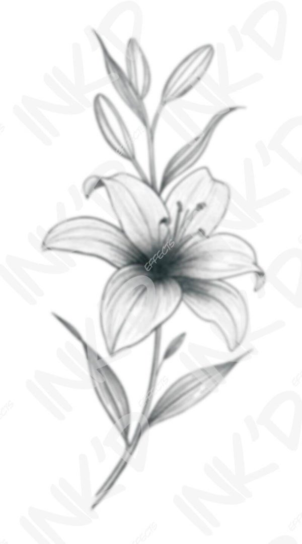 Lily