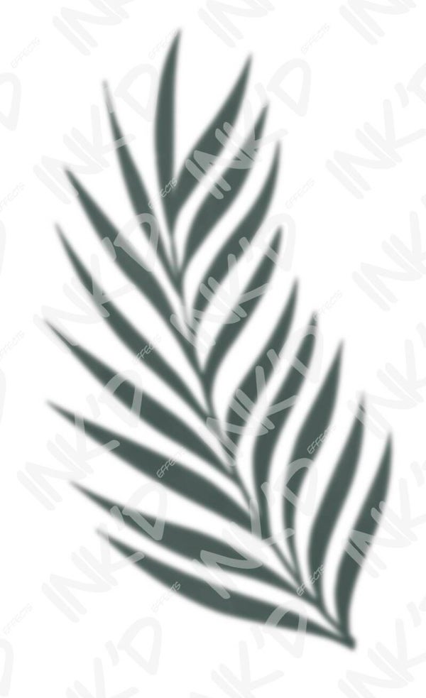 Fern
