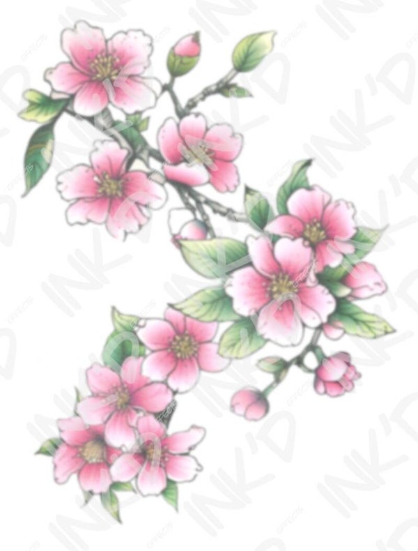 Cherry Blossom 4