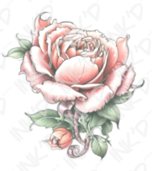 Neo Trad Rose