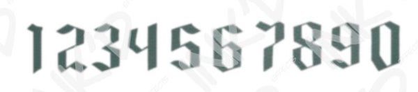 Number Type 5