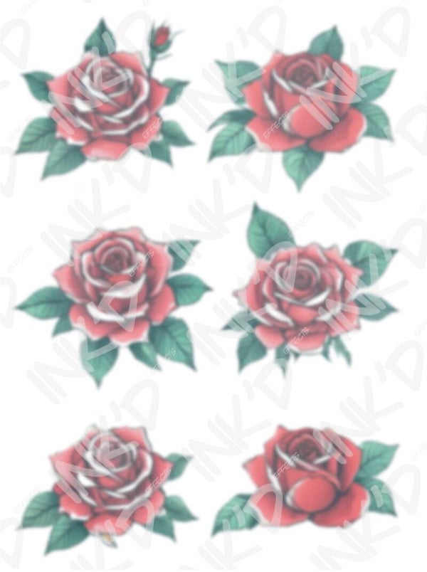 Six Traditional Light Roses