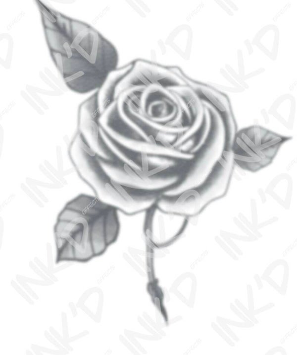 Traditional Rose II