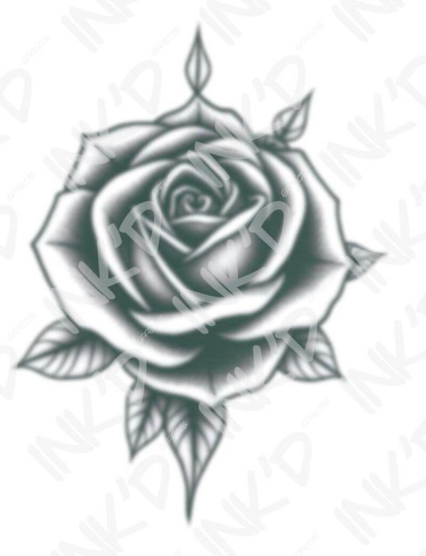 Traditional Rose I