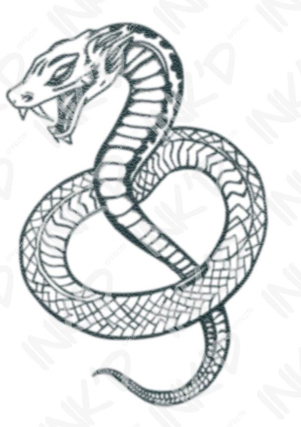 Traditional Snake