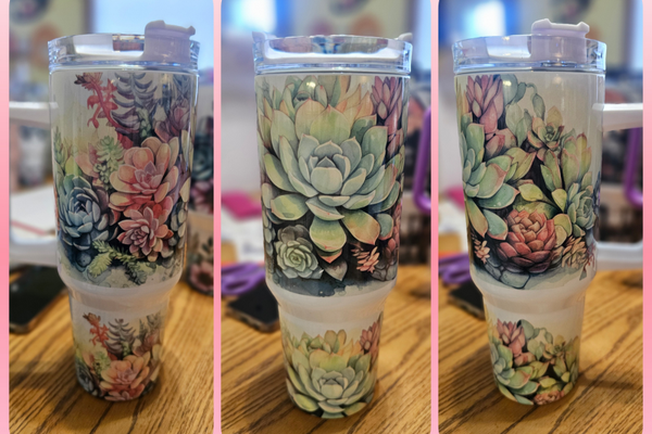 Succulents